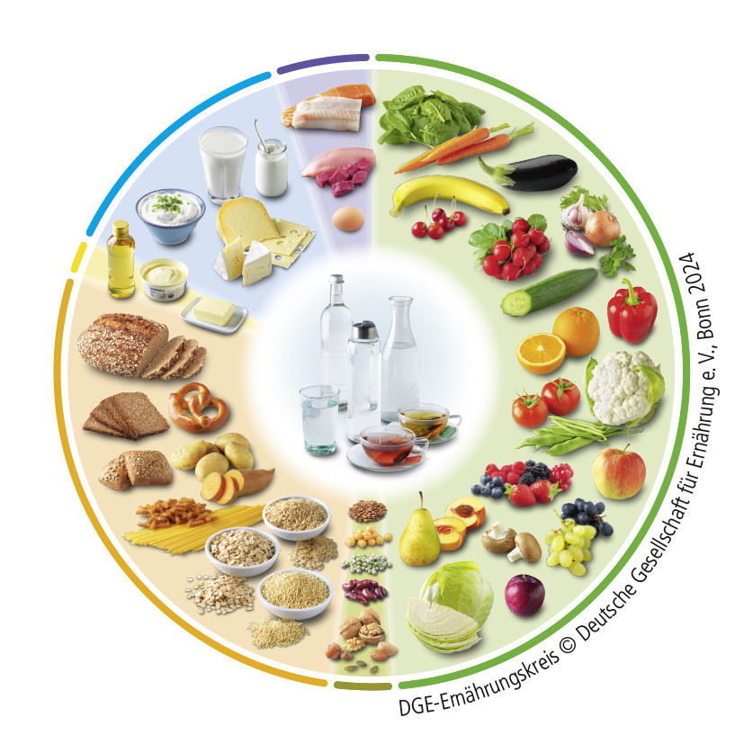 Im Bild sehen Sie den DGE-Ernährungskreis. In diesem Kreis sind verschiedene Lebensmittel abgebildet und in 7 Gruppen geteilt. 1. Getränke 2. Obst und Gemüse 3. Hülsenfrüchte und Nüsse 4. Getreide, Getreideprodukte und Kartoffeln 5. Öle und Fette 6. Milch und Milchprodukte 7. Fleisch, Wurst, Fisch und Eier